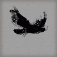 Driftwood cover art